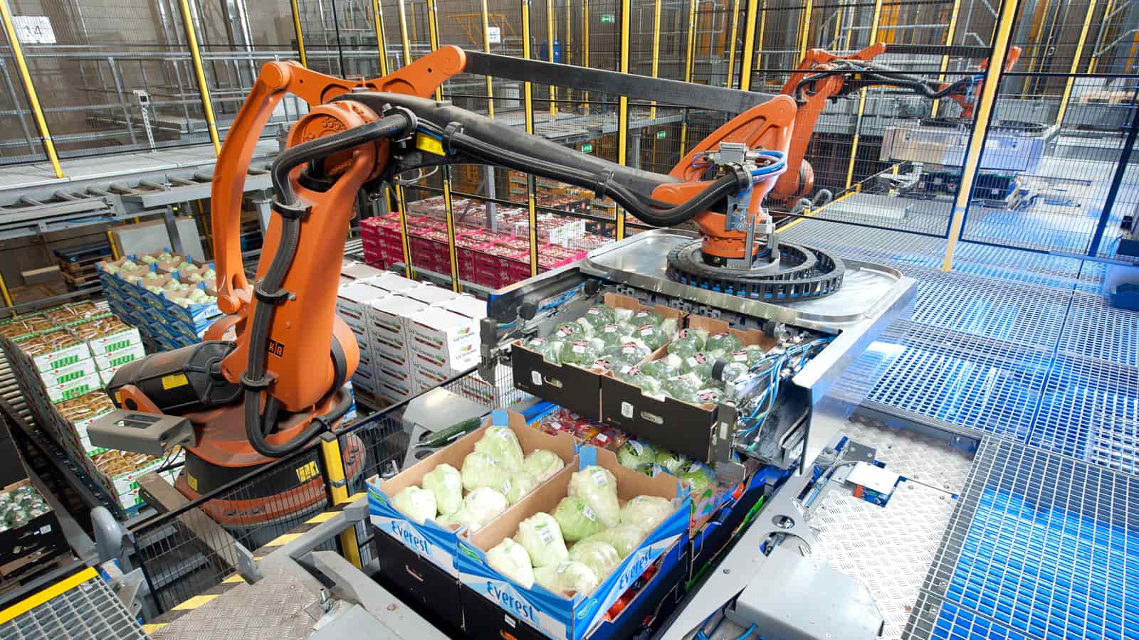 Netto picking robot Netto picking robot